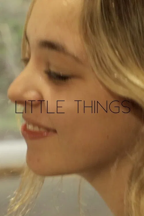 Little Things movie poster