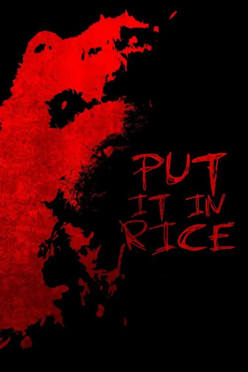 Put It In Rice movie poster