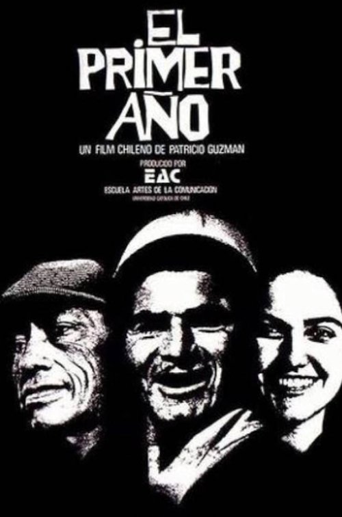 The First Year movie poster