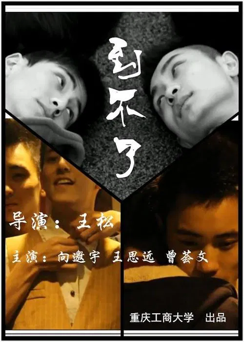 Imperfect movie poster