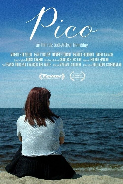 Pico movie poster