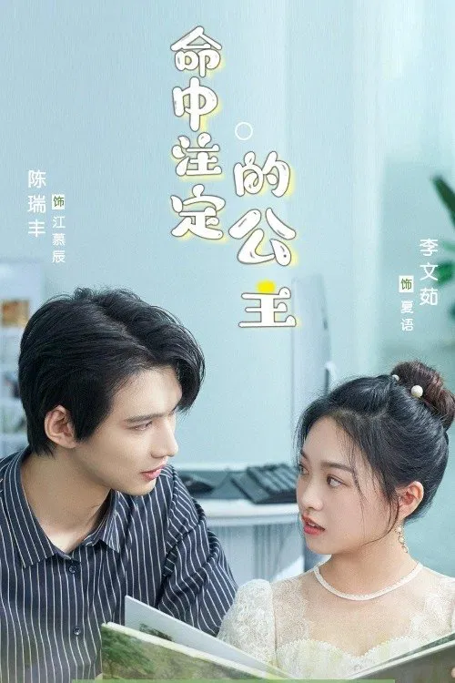 The Princess of Destiny tv show poster