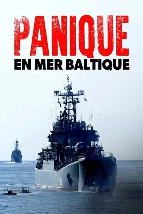 Panic in the baltic movie poster