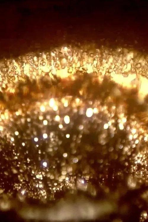 The Little Tools movie poster