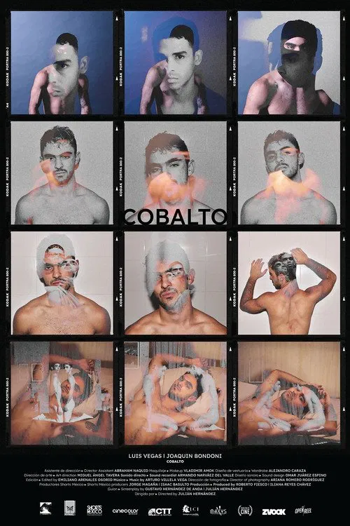 Cobalto movie poster