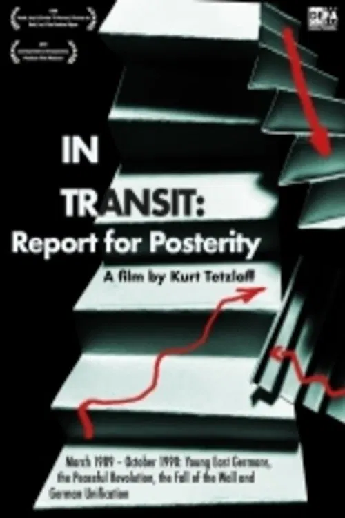 In Transit: Report for Posterity movie poster