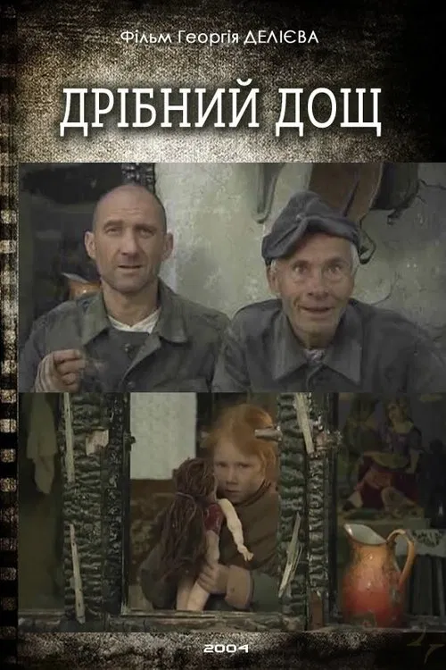 Light Rain movie poster