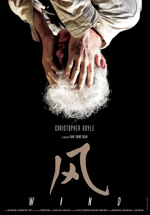 Wind movie poster
