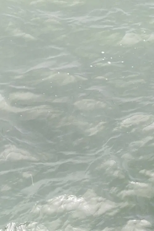 ob pier 5, 3 movements movie poster