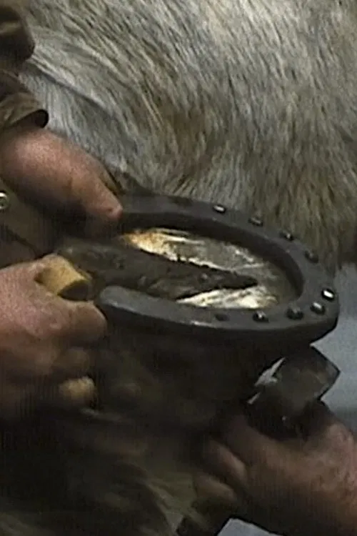 The Farrier movie poster
