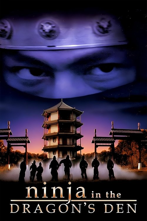 Ninja in the Dragon's Den movie poster