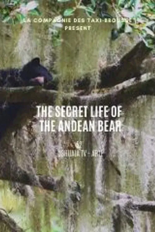 La vie secrète de l’ours à lunettes movie poster