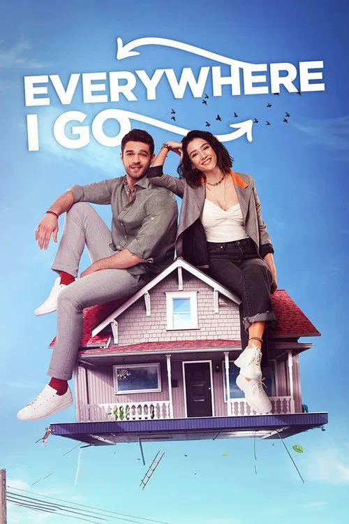 You Are Everywhere tv show poster