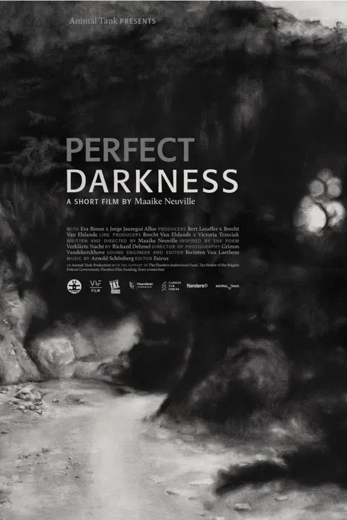 Perfect Darkness movie poster