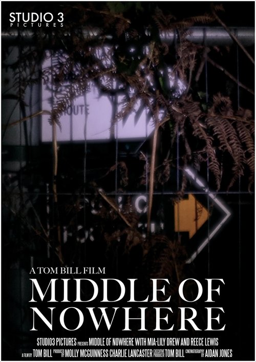 Poster do filme Middle of Nowhere
