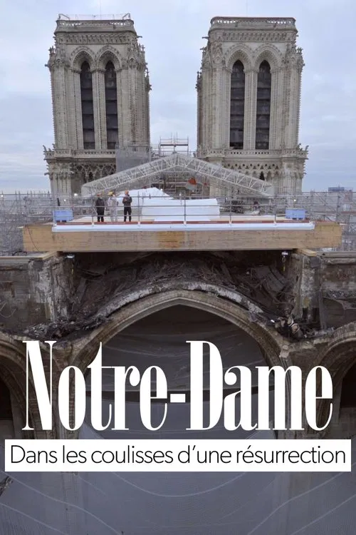 Notre-Dame of Paris, Rising from the Ashes movie poster