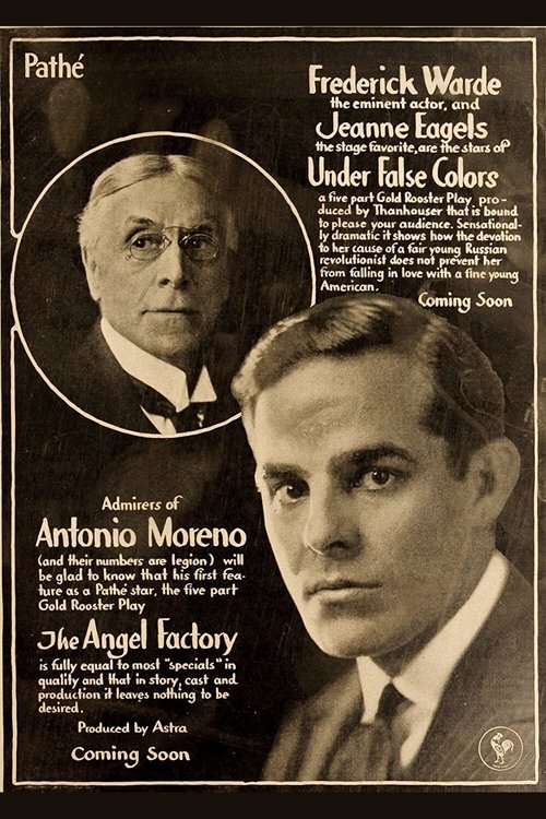 Under False Colors movie poster