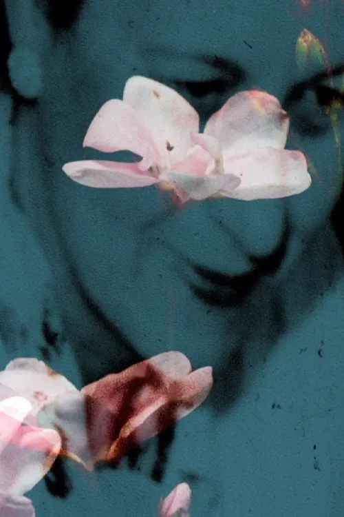 Flowers of the Sky movie poster