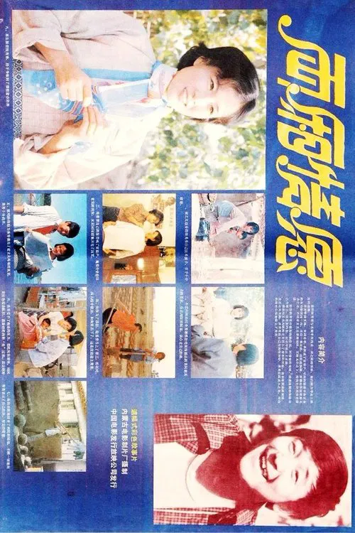两厢情愿 movie poster