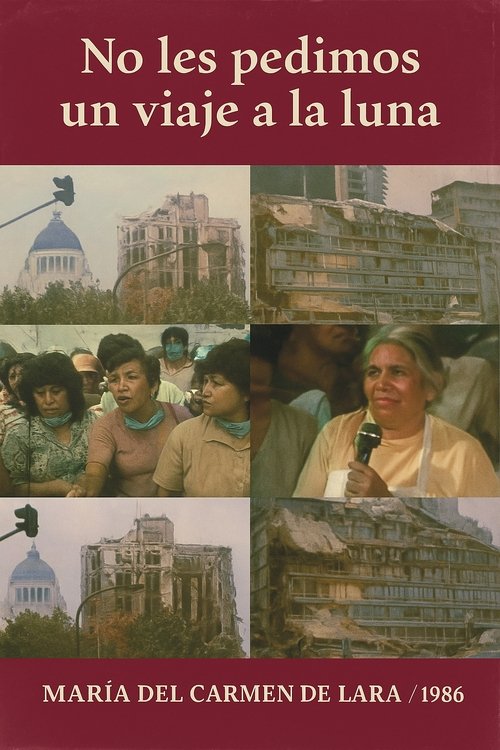 We Don't Ask You for a Trip to the Moon movie poster