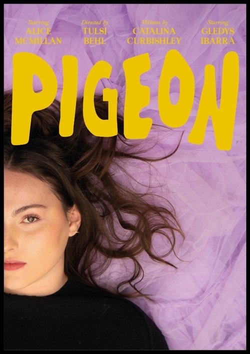pigeon movie poster