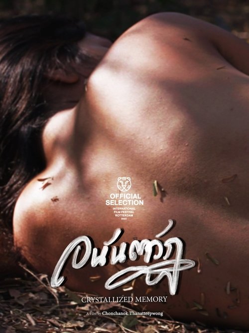 Crystallized Memory movie poster