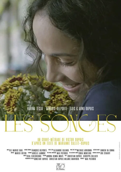 Poster do filme The Dreams