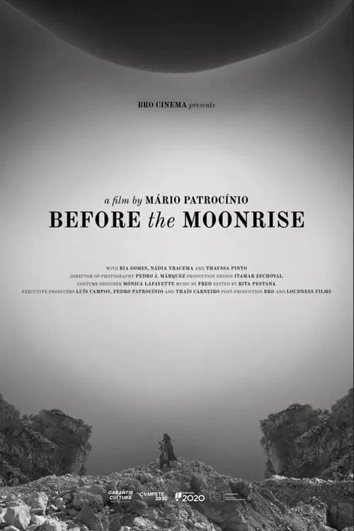 Before the Moonrise movie poster