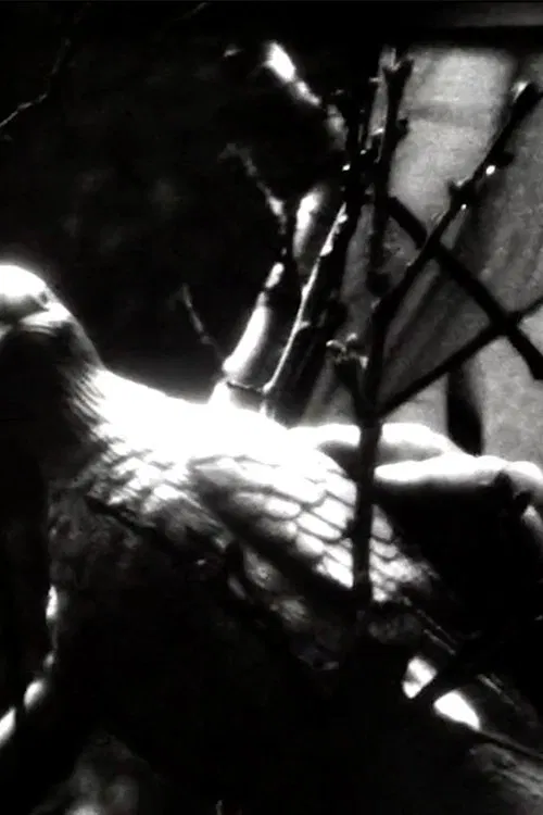 Paradise Tempay movie poster