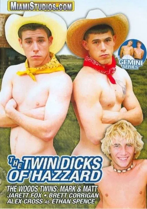 Poster do filme The Twin Dicks Of Hazzard