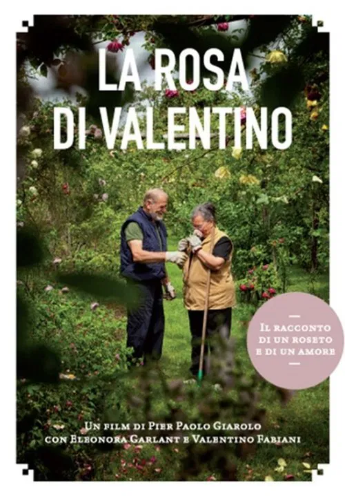 La rosa di Valentino movie poster
