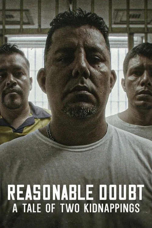 Reasonable Doubt: A Tale of Two Kidnappings tv show poster