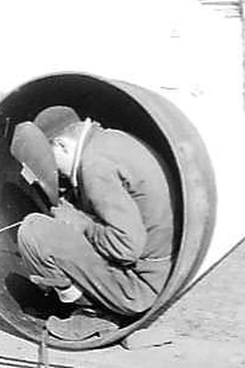 Poster do filme The Dike Builders