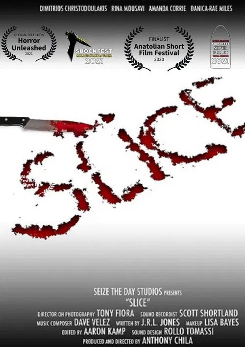 Poster do filme Slice