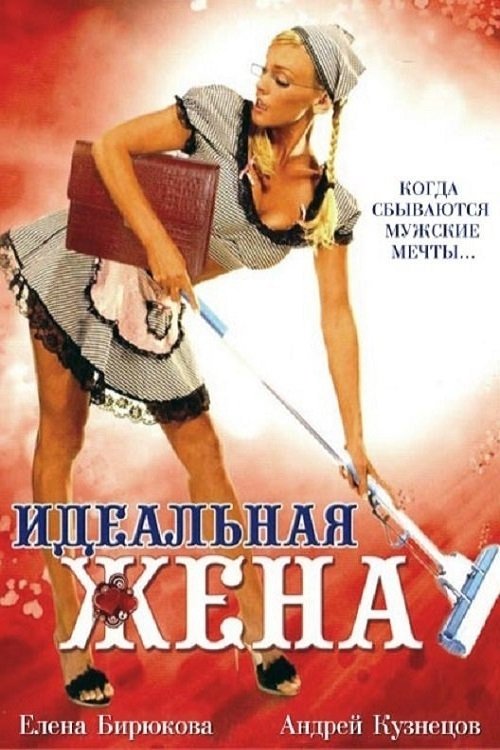 The Perfect Wife movie poster