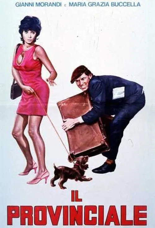 Il provinciale movie poster