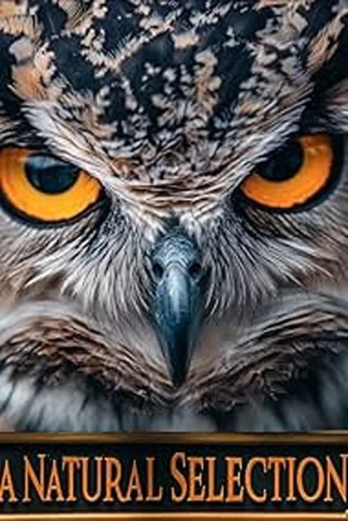 A Natural Selection movie poster