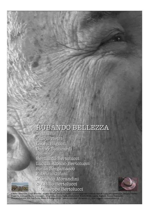 Rubando Bellezza movie poster