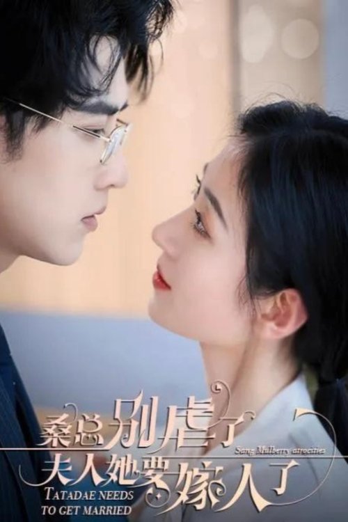 Mr Sang Stop It, She's Getting Married tv show poster