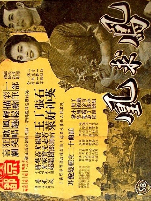 Where Is My Bride? movie poster
