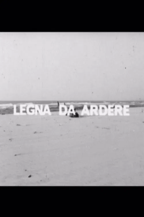 Poster do filme Legna da ardere
