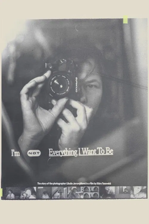 I'm Not Everything I Want to Be movie poster