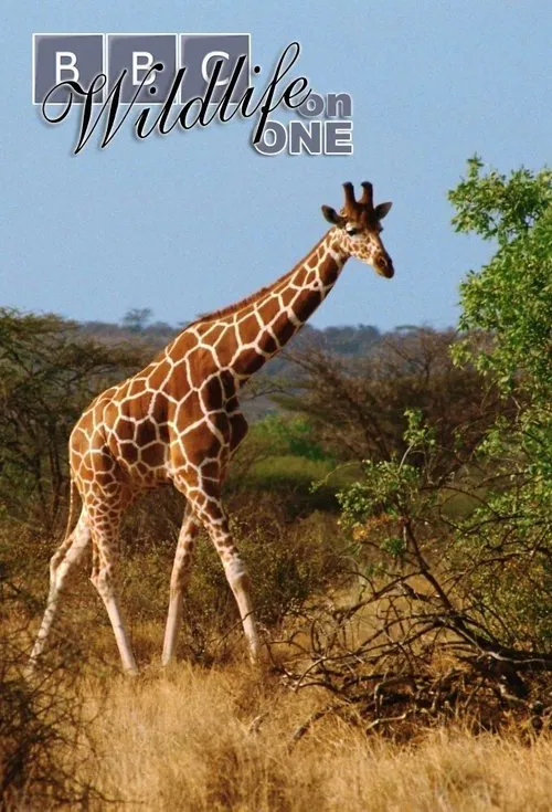 Poster da série Wildlife on One
