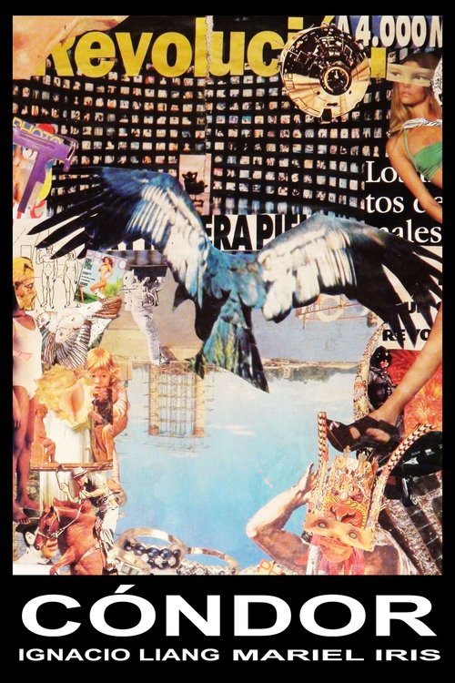 Cóndor movie poster