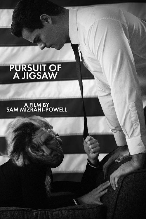 Poster do filme Pursuit Of A Jigsaw