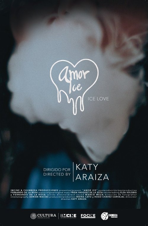 Poster do filme Amor Ice