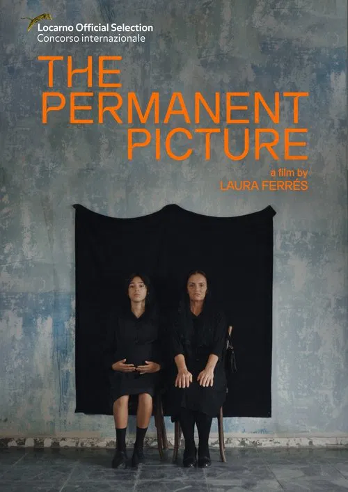 The Permanent Picture movie poster