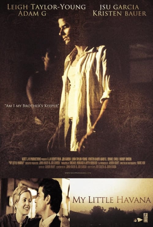 Poster do filme My Little Havana