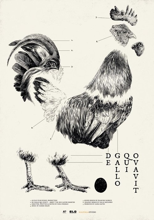 De Gallo Qui Ovavit movie poster