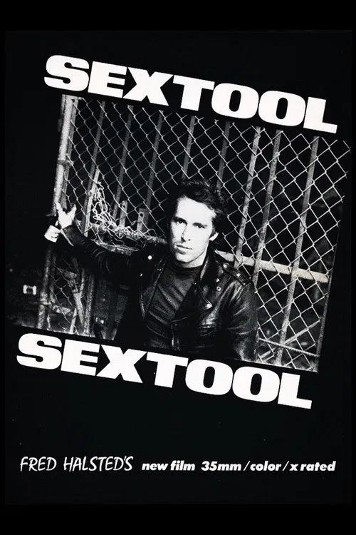 Sextool movie poster